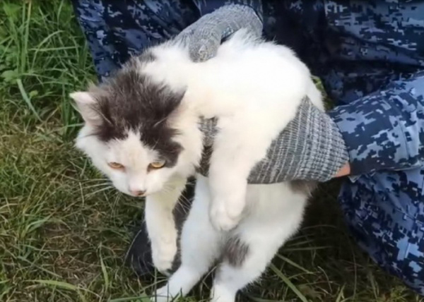 https://www.adyrna.kz/storage/uploads/HztlPBILNhPZmXoSEePNnDmhVaNIcnRepTUfyvPe.jpg